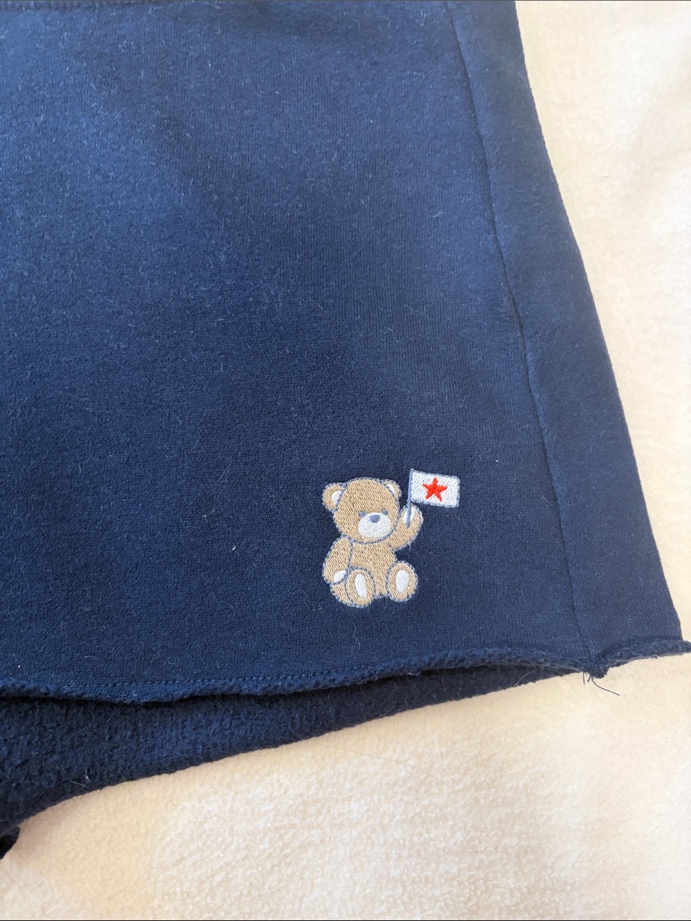 Discontinued Hollister Navy Blue Fleece Shorts with Embroidery - Picture 3 of 4